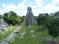 TIKAL